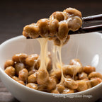 Fresh Japanese Natto ー 納豆 ー