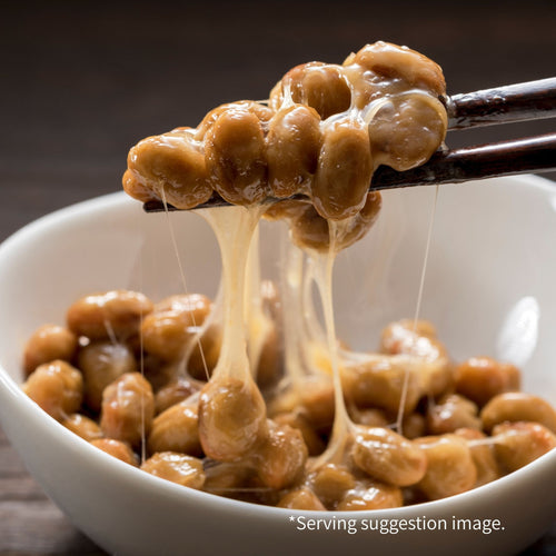 Fresh Japanese Natto ー 納豆 ー