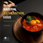 Premium OnZen egg ー 卵 ー